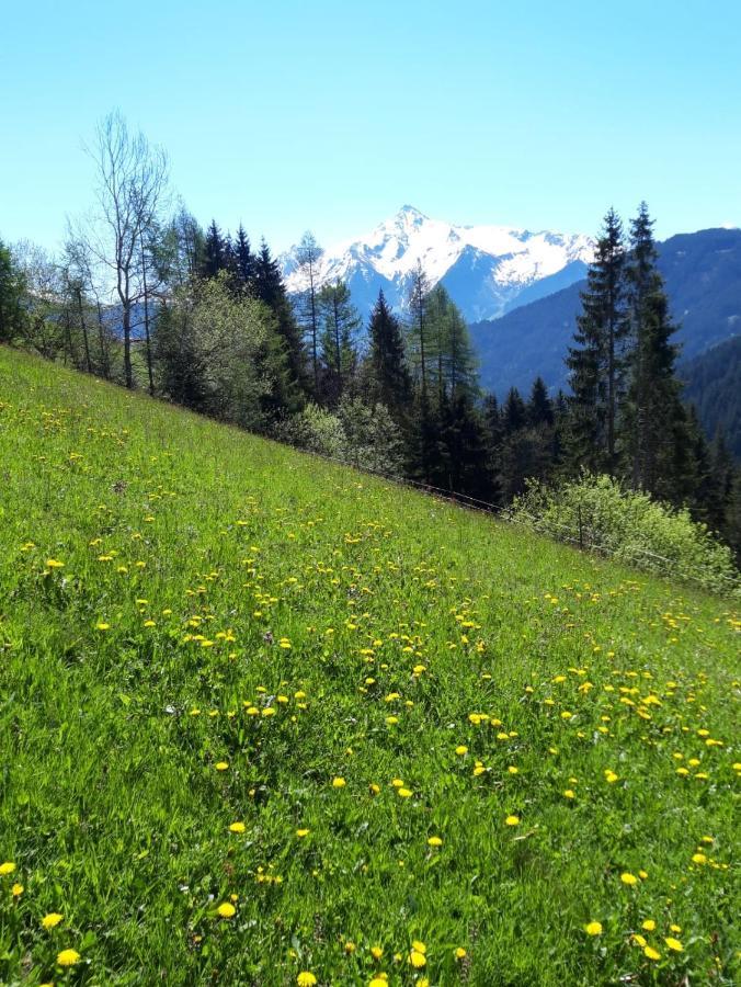 Ferienwohnung Schiestl Zell am Ziller Eksteriør billede